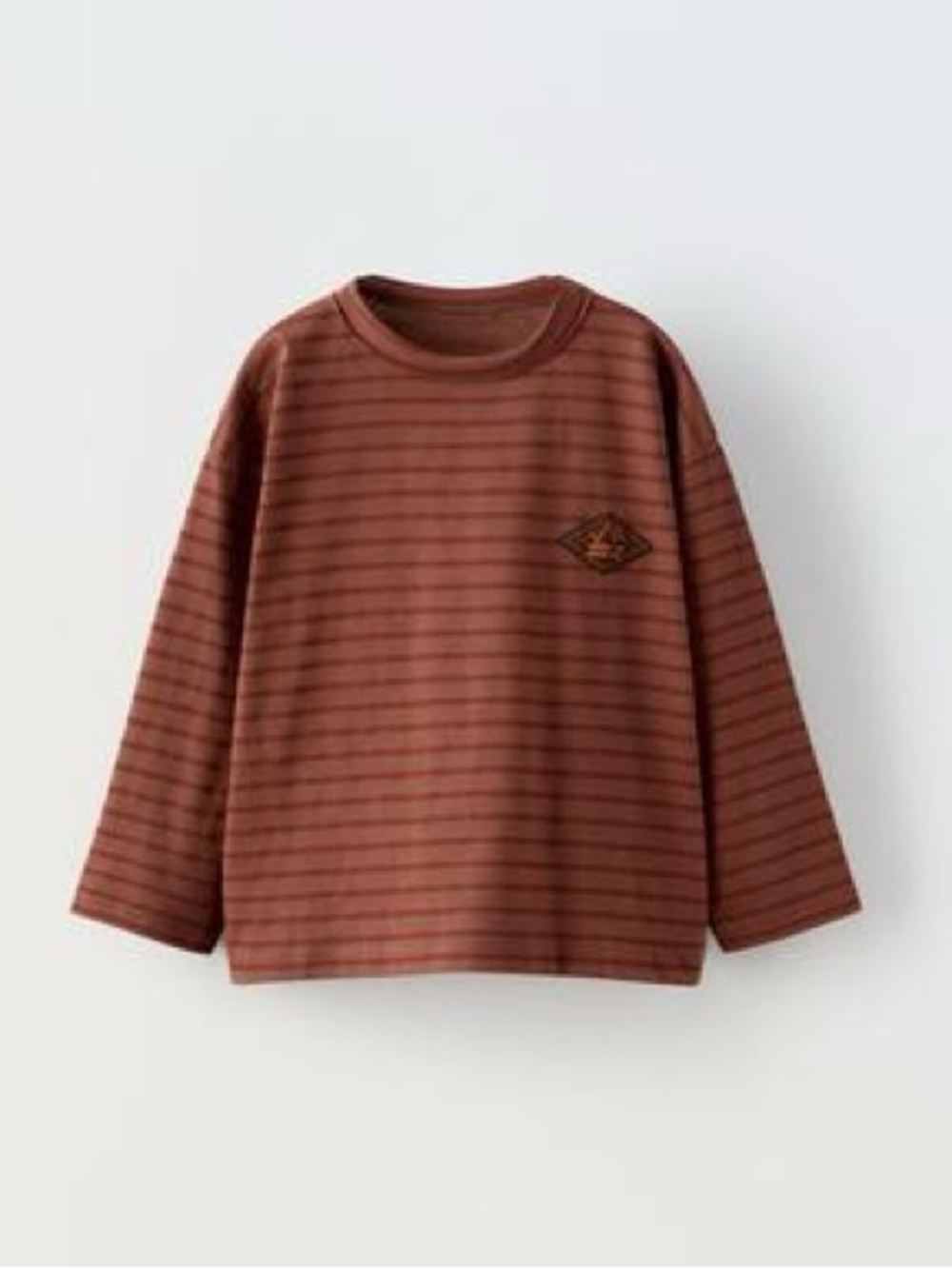 ZARA Kids Rust and Brown Striped Long Sleeve Tee 5-6